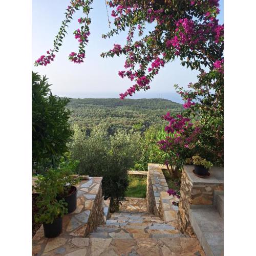 Vila Tatjana