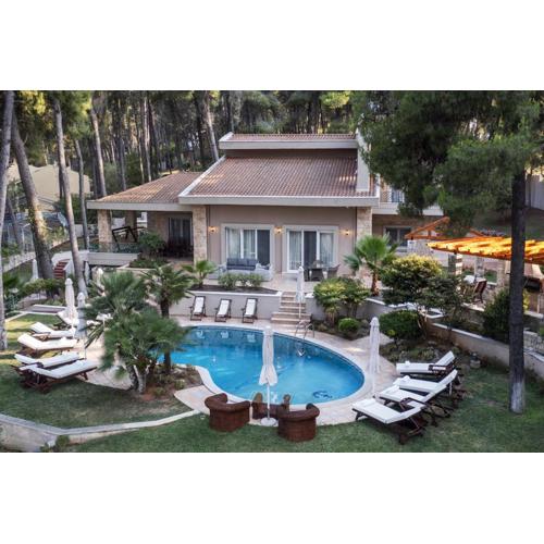 Villa Agapi Sani