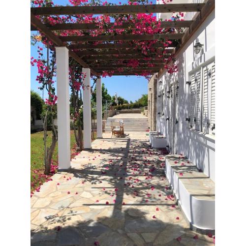 Villa Alexandros