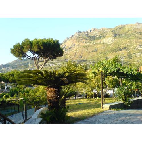 Villa Angelo