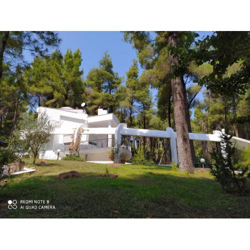 Villa Angie