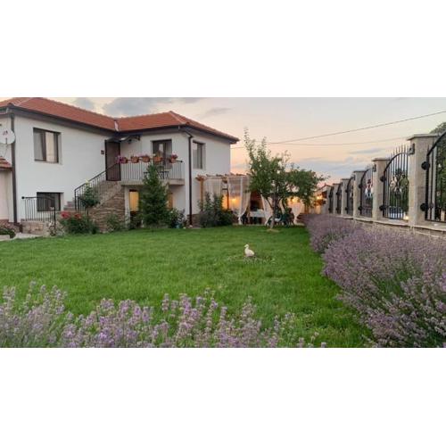 Villa Anika
