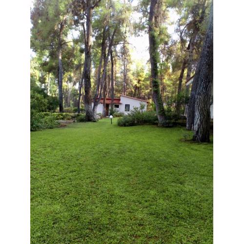 Villa Anty