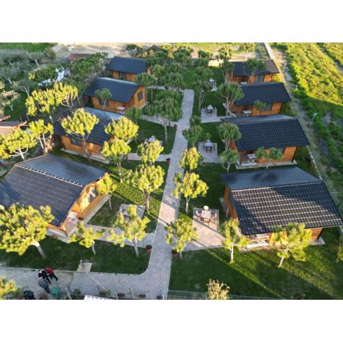 Villa Arda