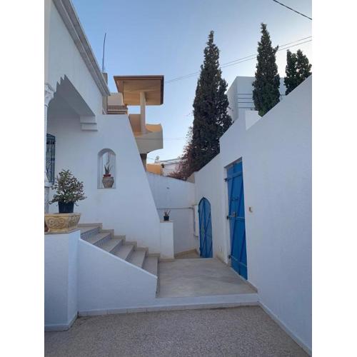 Villa avec piscine au style Sibi Bou Saïd