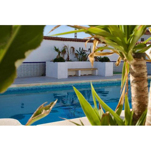 Villa Blue dream