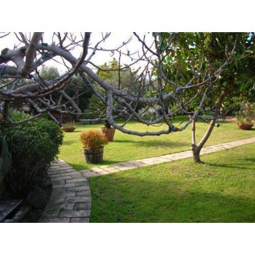 Villa Chiarenza Maison d\