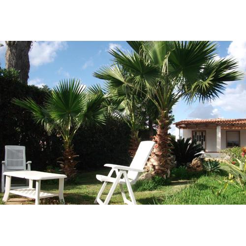 Villa Davima