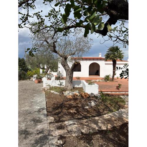 VILLA DE BELLIS VITTI