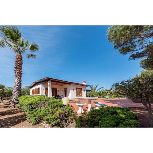 Villa Delfino