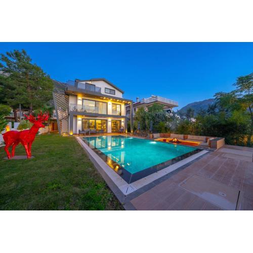 Villa Dinyeper