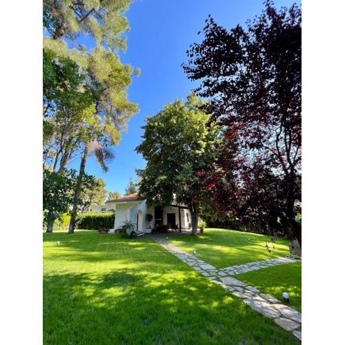 Villa Diomedes