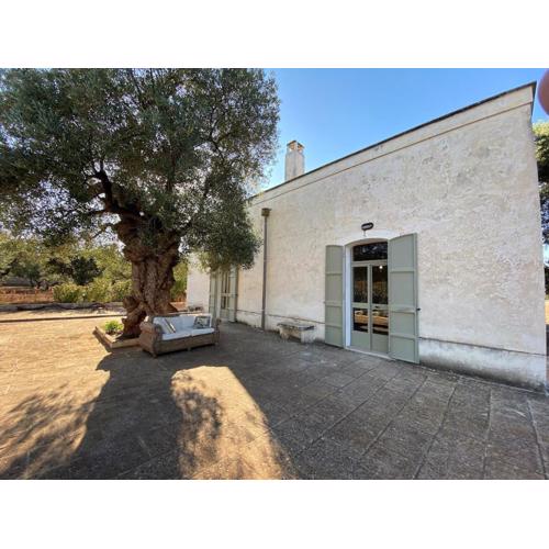 Villa Don Vito surrounded by centuries-old olive trees