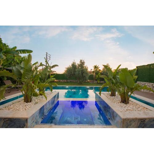 Villa Dove