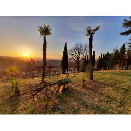 Villa el Pavo Real Arezzo