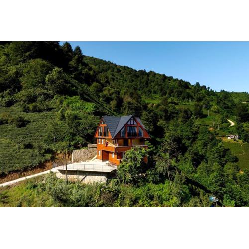 Villa Emir