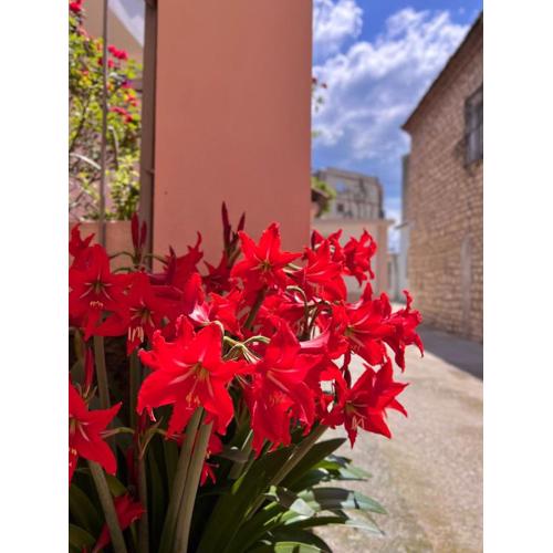 Villa EnSalv Berat - Apartment - Room - Penthouse