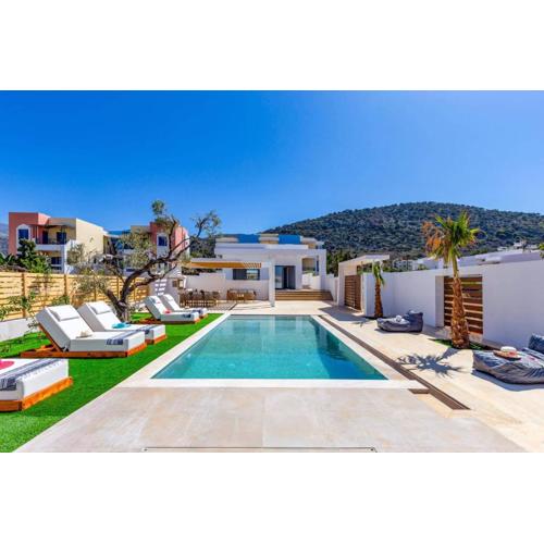 Villa Envy by Villa Plus