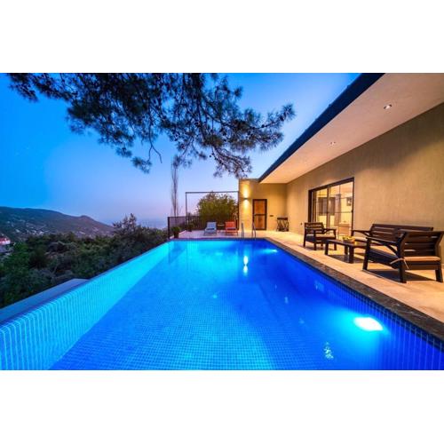 Villa esinti
