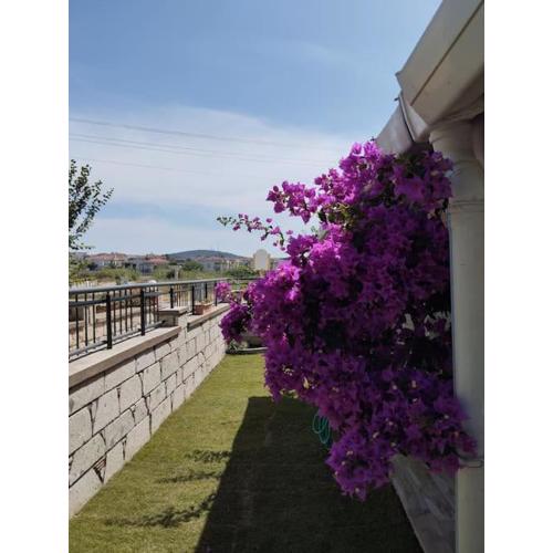 Villa familiale Çeşme