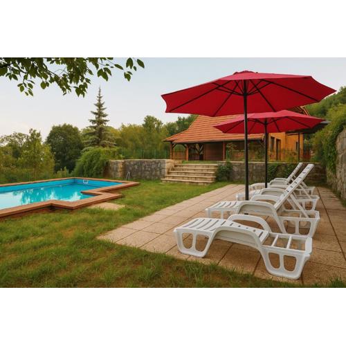 Villa Felix with spectacular pool in green oasis