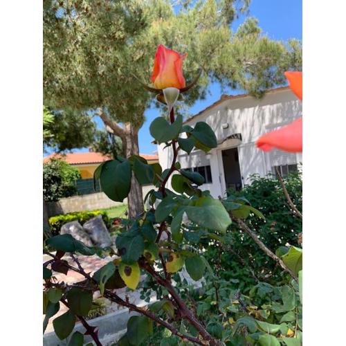 Villa Fiori giardino, 400 m. mare con parcheggio