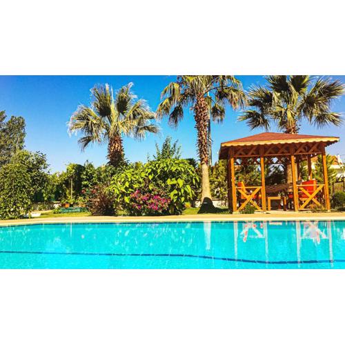 Villa Fish