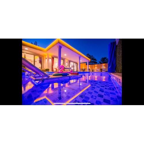 Villa flamingo
