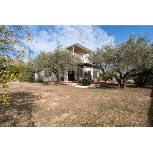 Villa Francesco P Terra