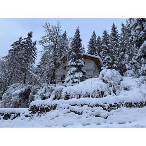 Villa Gusto, 3km from Pamporovo