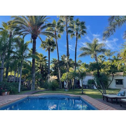 Villa in a palm tree plantation