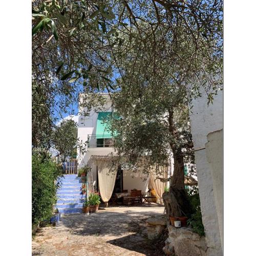 Villa in pietra