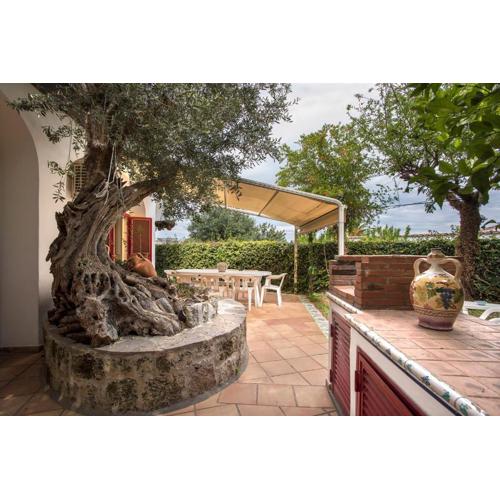 Villa La Caterina by IschiaEXP
