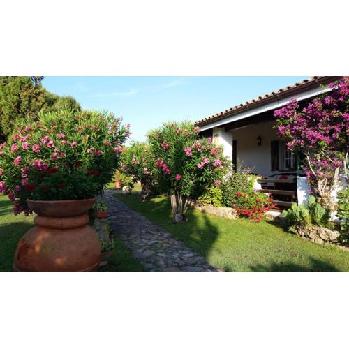 Villa La Liccia Misia