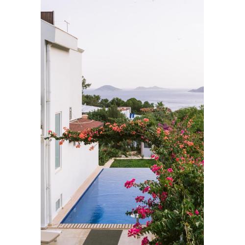 Villa Lalaland ЕСО Retreat