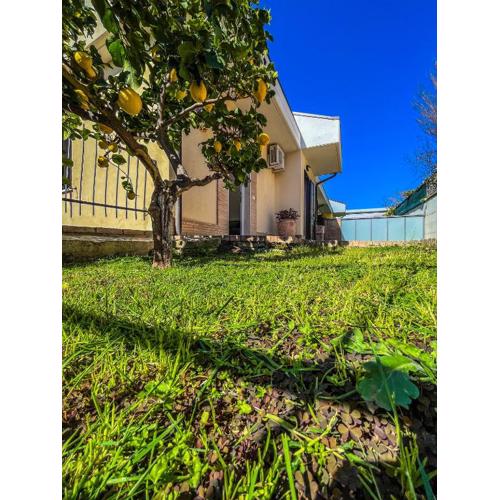 Villa Limone Vasto - Giardino Privato & Accesso Indipendente -