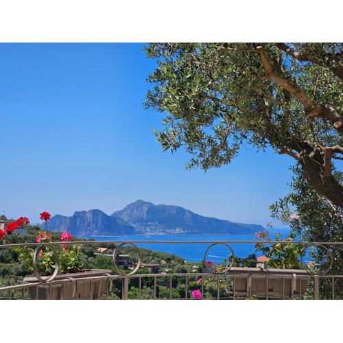 Villa Luci di Capri