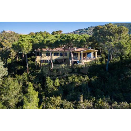 Villa Madonna delle Grazie con accesso privato al mare - Goelba