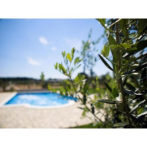 Villa Marčeta Authentic Stay in Istria