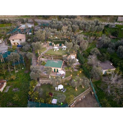 Villa Margherita Garden