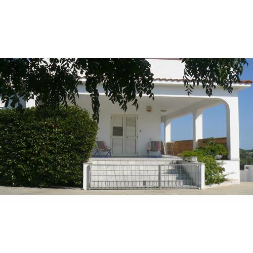 Villa Mediterranea tra gli ulivi