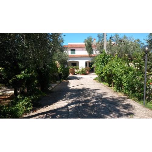 Villa Monica appartamenti