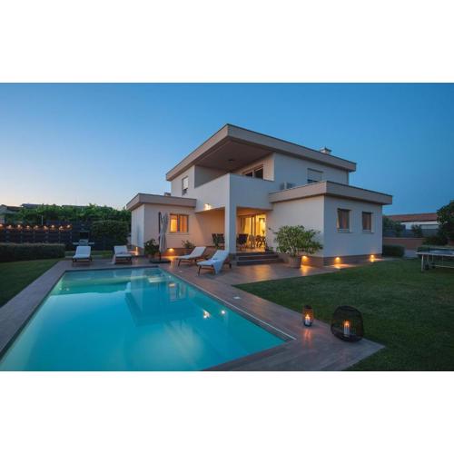 Villa Moraceae