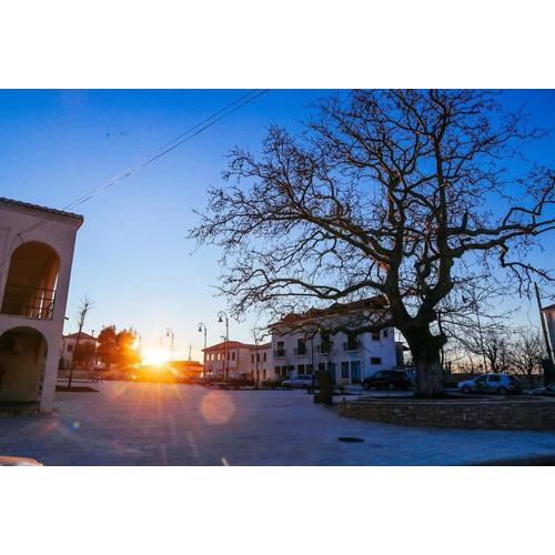 Villa Morena