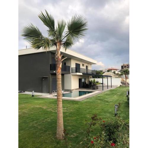 Villa Mucize Kuşadası
