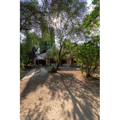 Villa Olive apartments