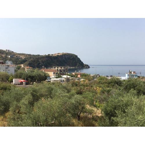 Villa Olivia Grove