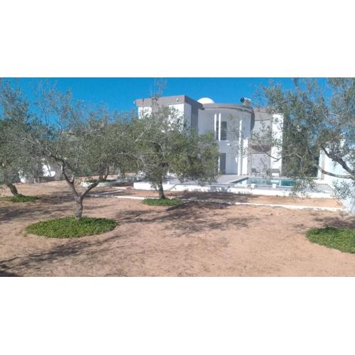 Villa Olivier Midoun