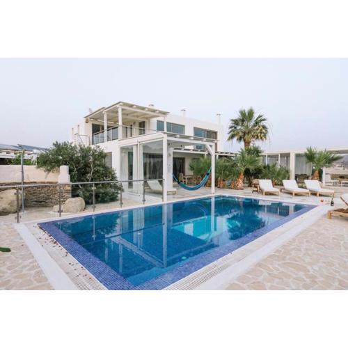 Villa Olympia in the palm trees