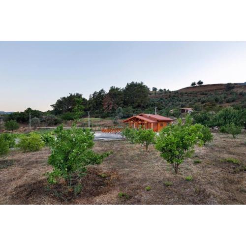 Villa Olymposgarden